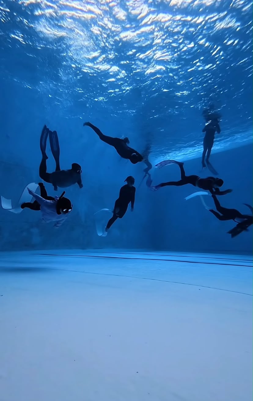 BAC Ocean Trip